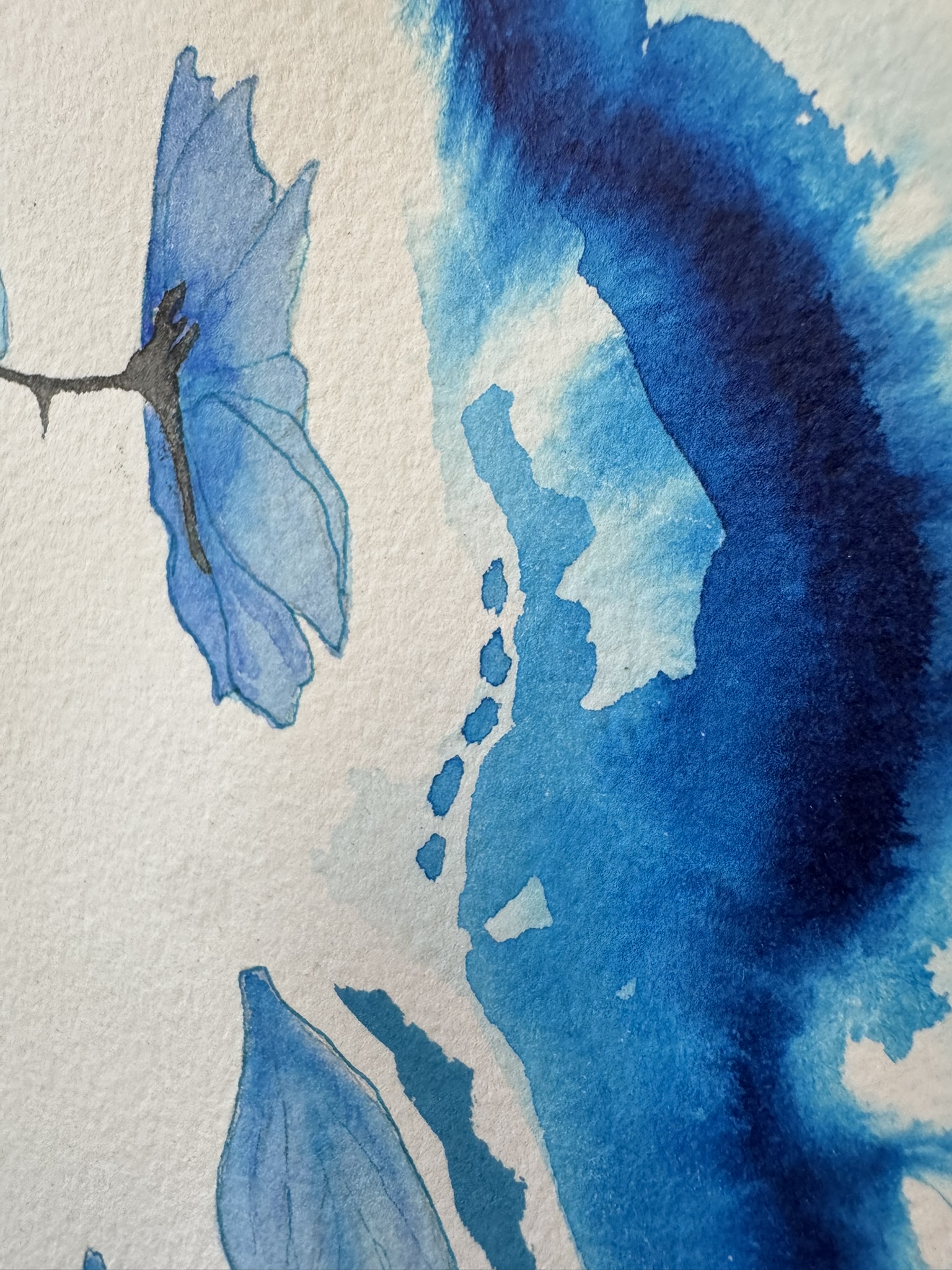 L'ombre des fleurs bleues – Image 4